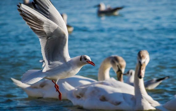 Mehr Urlaubsangebote in Warna