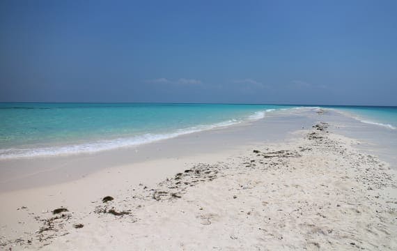 Mehr Urlaubsangebote auf Sansibar